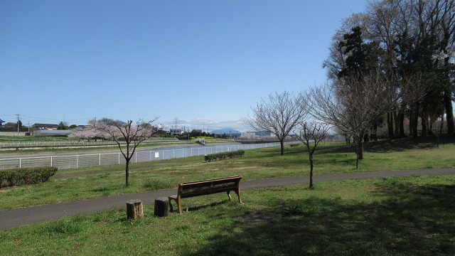 f:id:cafeee:20210523221040j:plain