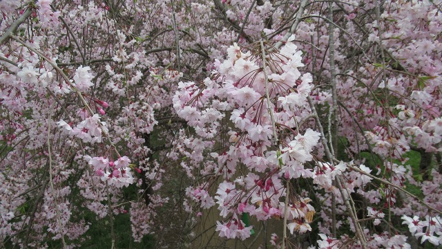 f:id:cafeee:20210601222306j:plain