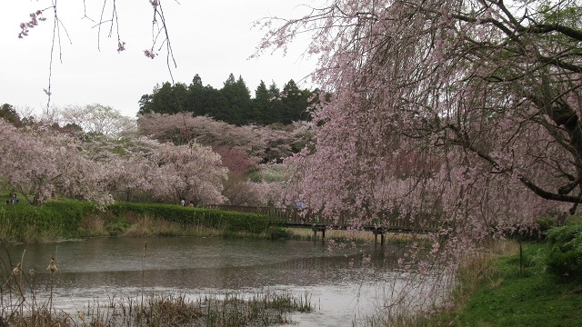 f:id:cafeee:20210601222408j:plain