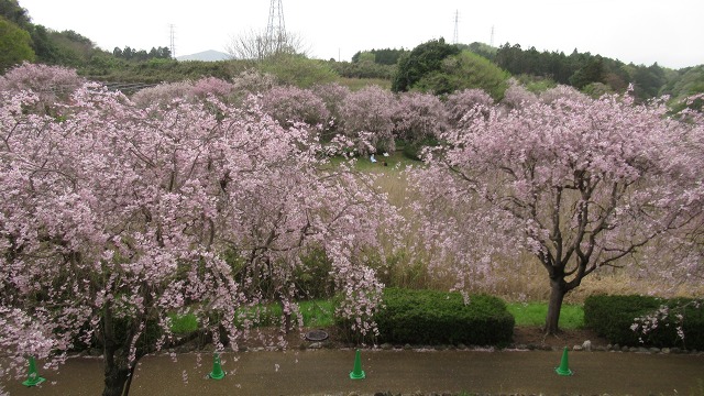 f:id:cafeee:20210601222719j:plain