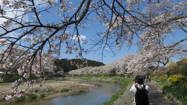 f:id:cafeee:20210613205853j:plain