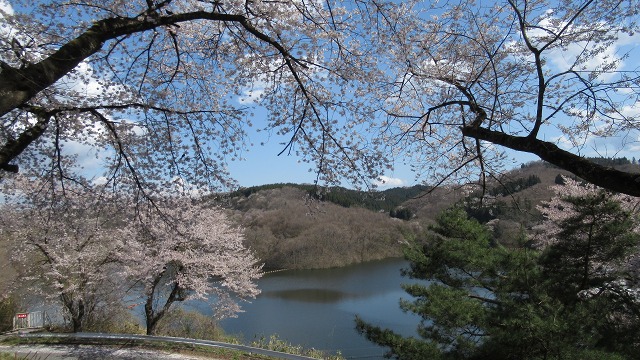 f:id:cafeee:20210622204030j:plain