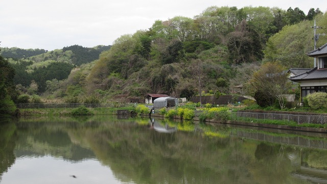 f:id:cafeee:20210701113015j:plain