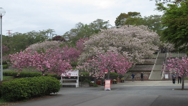 f:id:cafeee:20210701113343j:plain