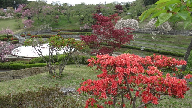 f:id:cafeee:20210701113701j:plain