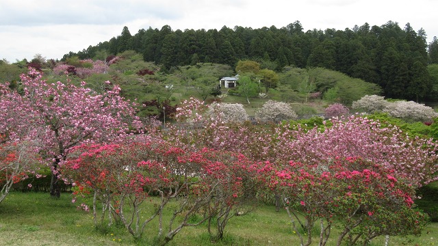 f:id:cafeee:20210701133741j:plain