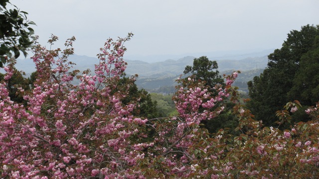 f:id:cafeee:20210701134130j:plain