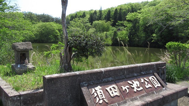 f:id:cafeee:20210708113907j:plain