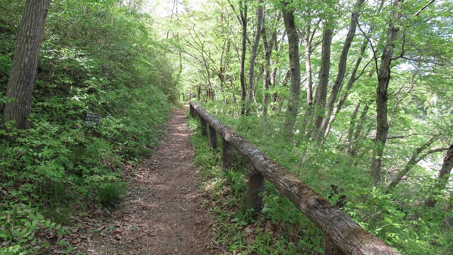 f:id:cafeee:20210708115249j:plain