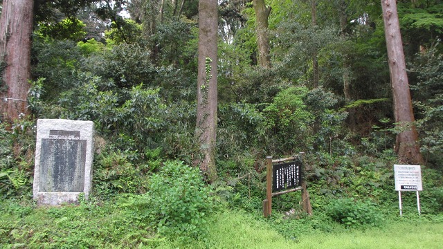 f:id:cafeee:20210723220742j:plain