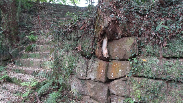 f:id:cafeee:20210723220809j:plain