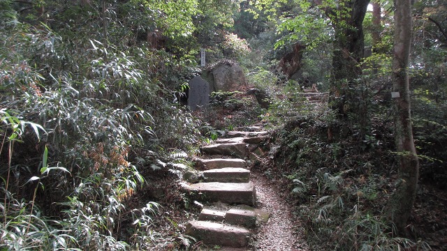 f:id:cafeee:20210723220849j:plain