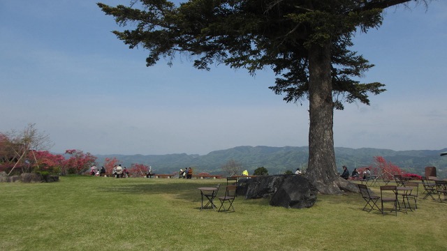 f:id:cafeee:20210723221312j:plain