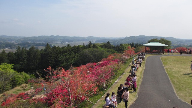 f:id:cafeee:20210723221340j:plain