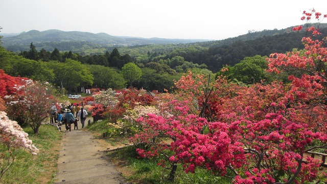 f:id:cafeee:20210723221404j:plain