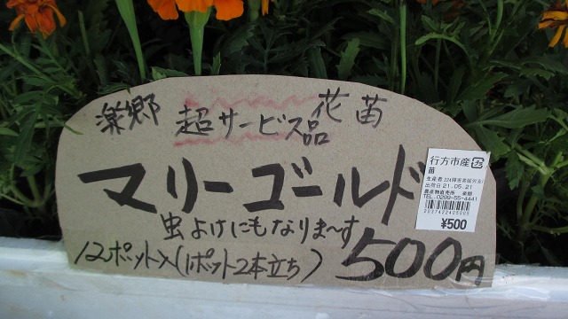 f:id:cafeee:20210824211517j:plain