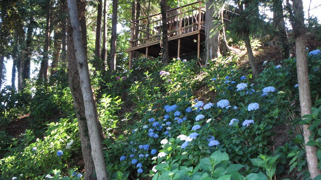 f:id:cafeee:20210902133910j:plain