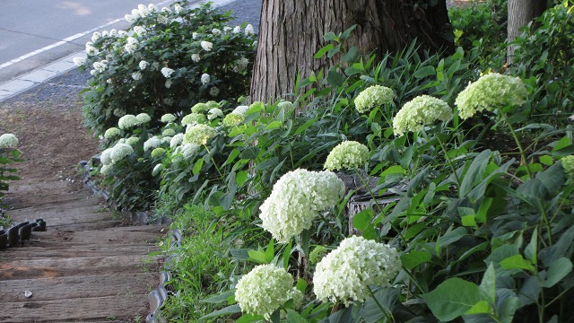 f:id:cafeee:20210902134426j:plain