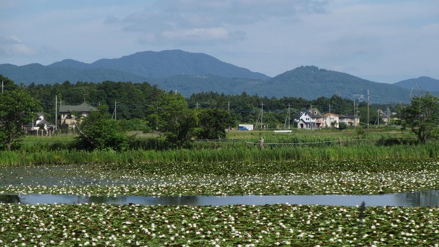 f:id:cafeee:20210902134620j:plain