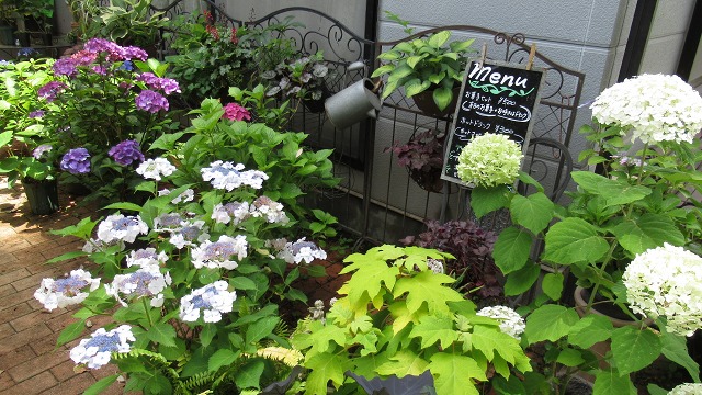 f:id:cafeee:20210912112126j:plain