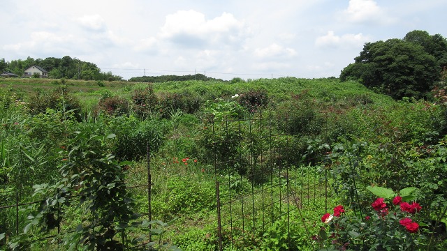 f:id:cafeee:20210912112308j:plain