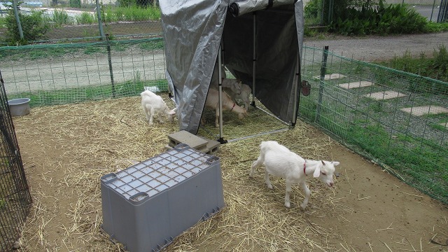 f:id:cafeee:20210912224748j:plain