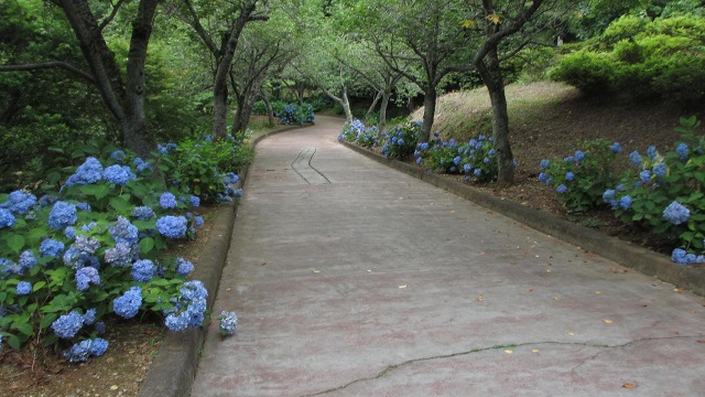 f:id:cafeee:20210914213302j:plain