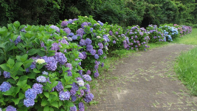 f:id:cafeee:20210914213352j:plain