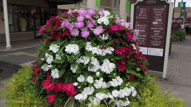 f:id:cafeee:20210917213005j:plain