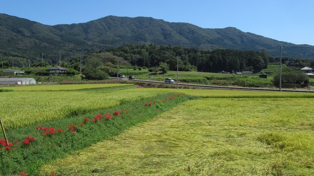 f:id:cafeee:20211112161159j:plain