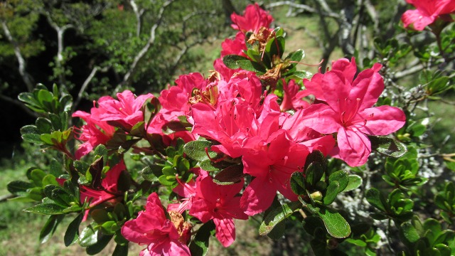 f:id:cafeee:20211112161322j:plain