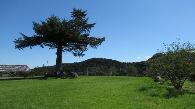 f:id:cafeee:20211112161516j:plain