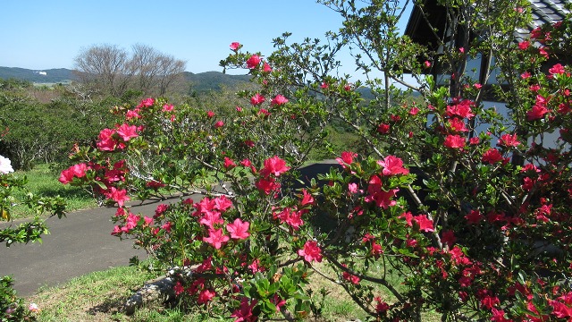 f:id:cafeee:20211112161552j:plain