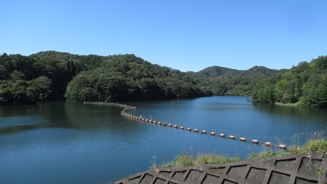 f:id:cafeee:20211112161635j:plain