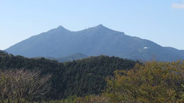 f:id:cafeee:20211112161756j:plain