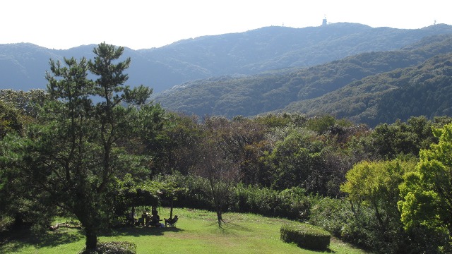 f:id:cafeee:20211112162058j:plain