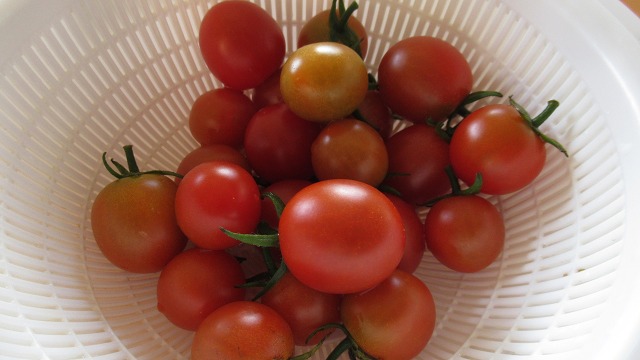 f:id:cafeee:20211112162136j:plain