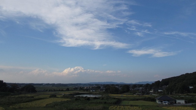 f:id:cafeee:20211116133036j:plain