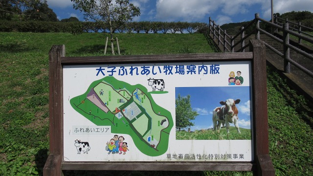 f:id:cafeee:20211119212510j:plain