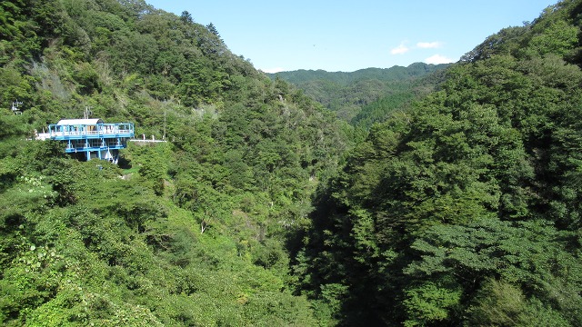 f:id:cafeee:20211119213028j:plain