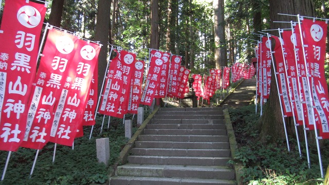 f:id:cafeee:20211123213114j:plain