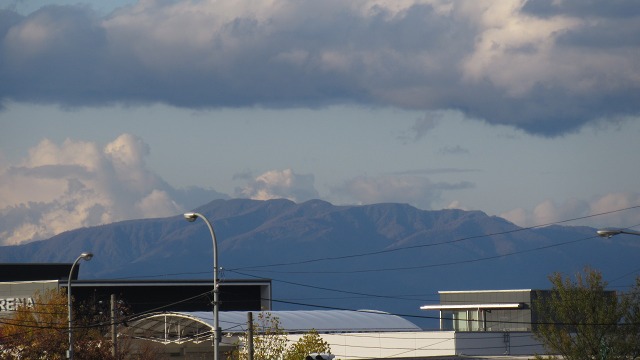 f:id:cafeee:20211214195420j:plain