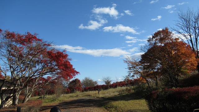 f:id:cafeee:20211223171252j:plain