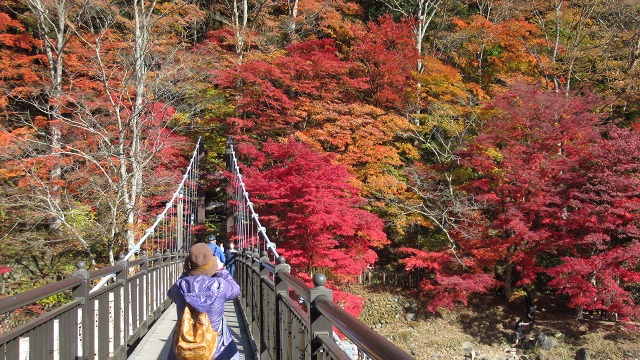 f:id:cafeee:20211228203431j:plain