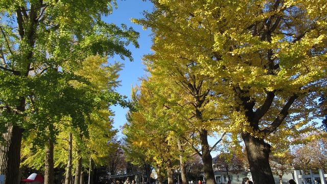 f:id:cafeee:20220104214815j:plain