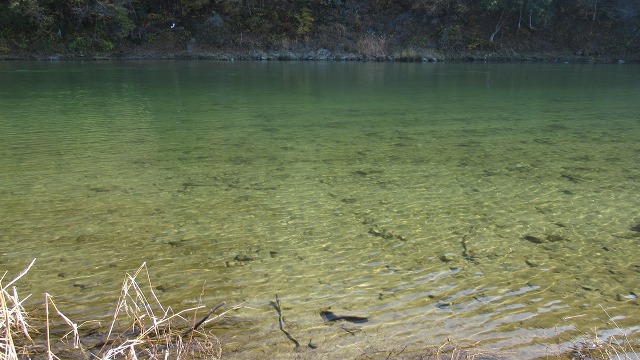 f:id:cafeee:20220105103525j:plain