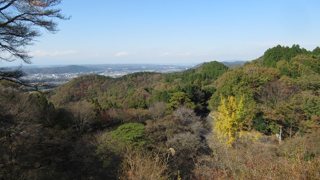 f:id:cafeee:20220106190108j:plain