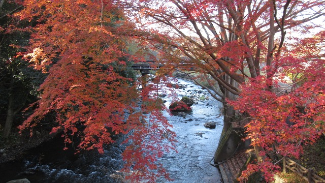 f:id:cafeee:20220106190120j:plain