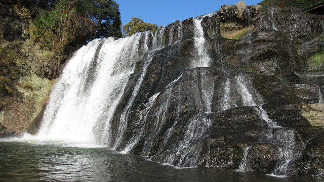 f:id:cafeee:20220106190205j:plain