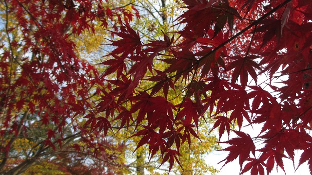 f:id:cafeee:20220107205221j:plain